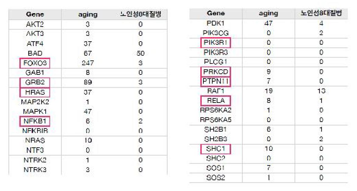 Neurotrophin pathway의 발현데이터 및 서지분석결과 비교