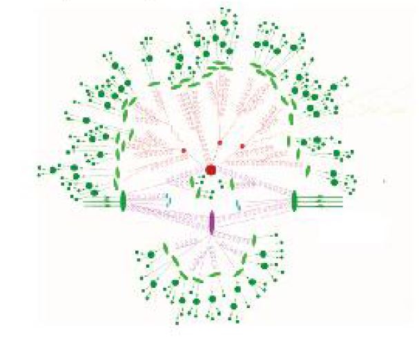 Strong Interaction of fundamental particles at hadron colliders