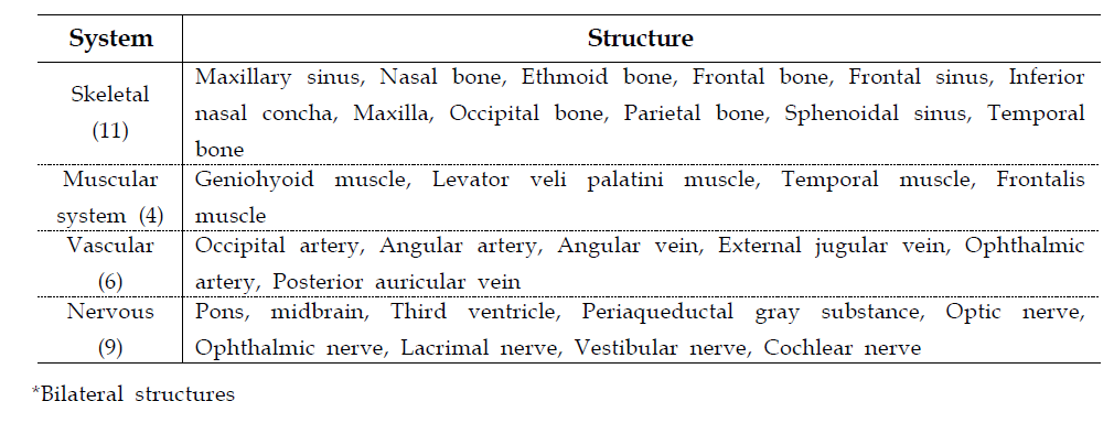 Male head Structures in the Segmented images(30 structures)