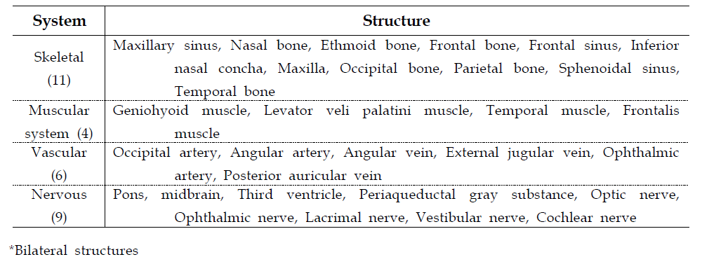 Male head Structures in the surface models(30 structures)