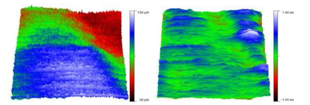 Current sensing image and topography of the Nafion®112; Color bar of each image represents proton conductivity (left) and height (right), Image size 5μm X 5μm.