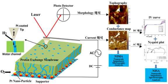 Schematic of the proposed novel NIS.