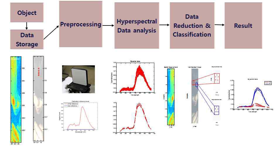 초분광 영상 알고리즘 순서도 및 결과 그래프