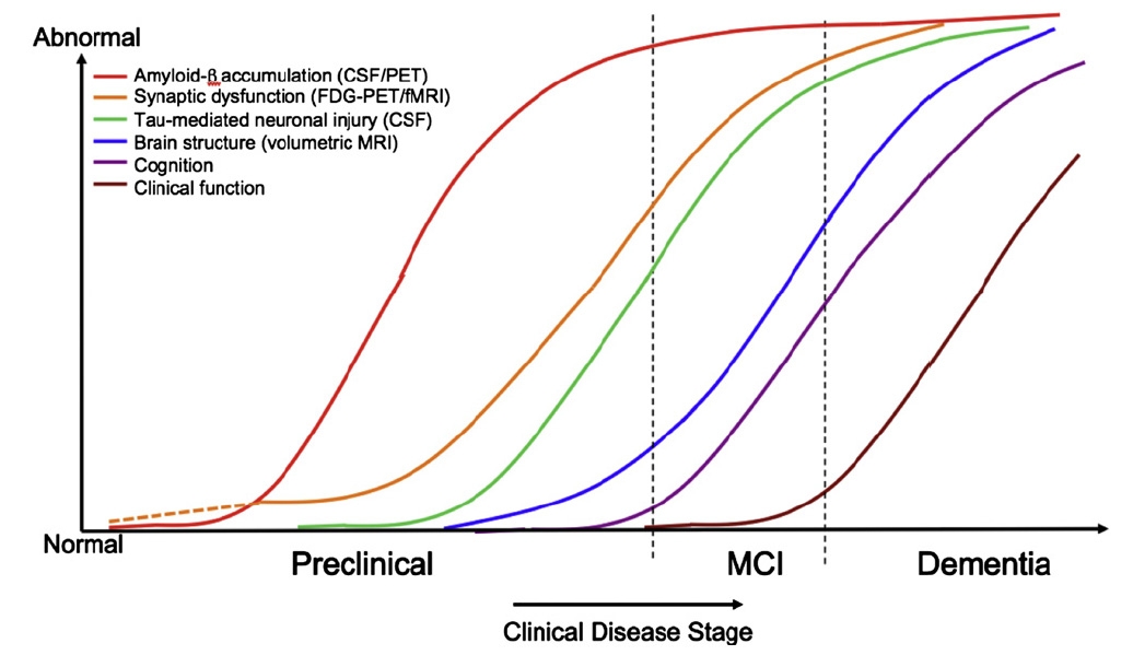 치매 진행에 따른 amyloid β의 침착 및 뇌 인지기능의 변화 그래프