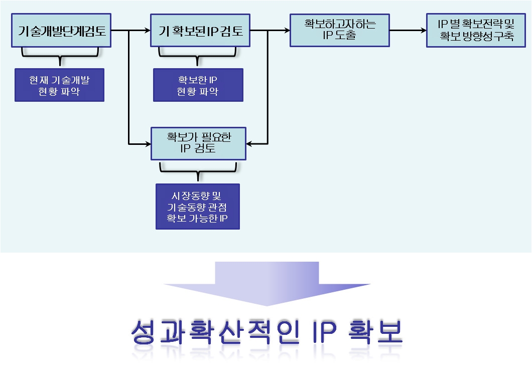 IP 확보 전략 수립의 개념도