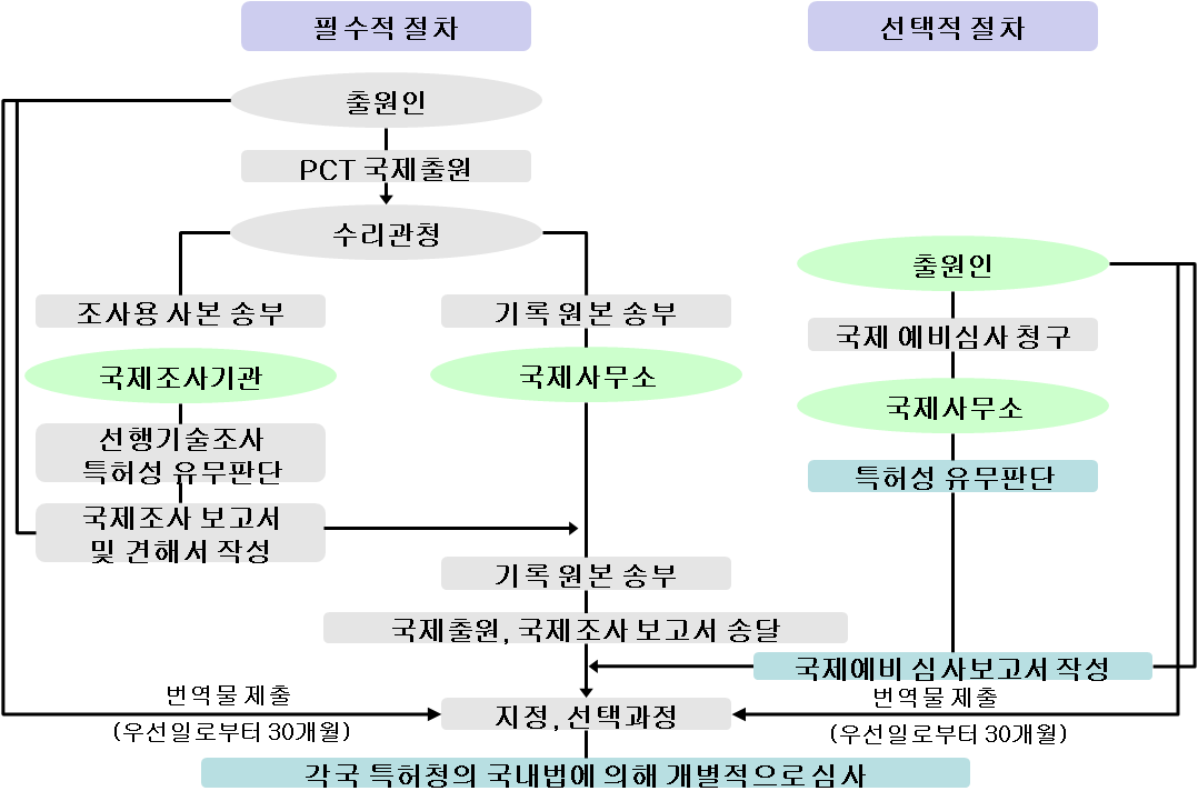 PCT(Patent Cooperation Treaty) 절차