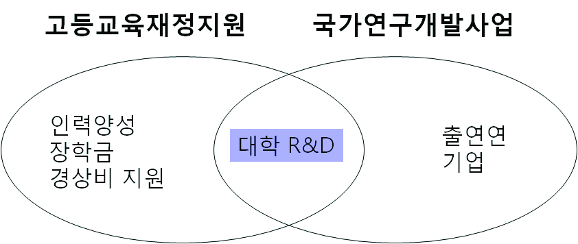 대학 R&D 투자와 고등교육재정지원