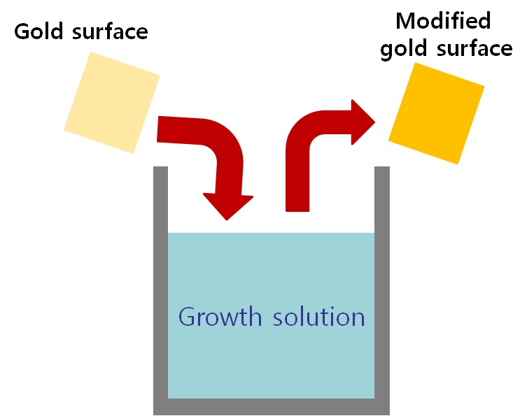 그림 3-13 Protocol for fabricating the mixture layer.Growth solution is prepared with mixing HA uCl4 and hydroxylamine