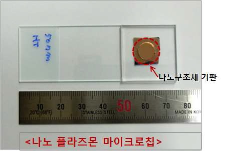 그림 3-27 나노구조체 기판을 이용한 마이크로 칩