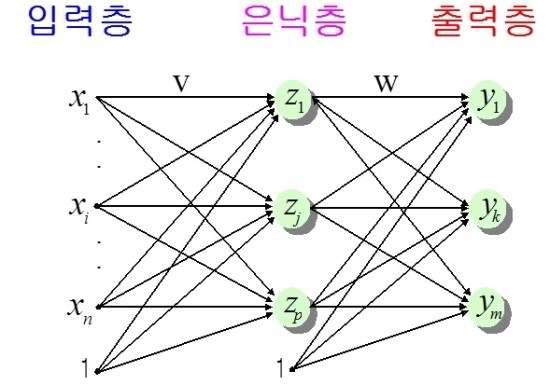 Multi Layer Feed Forward 구조