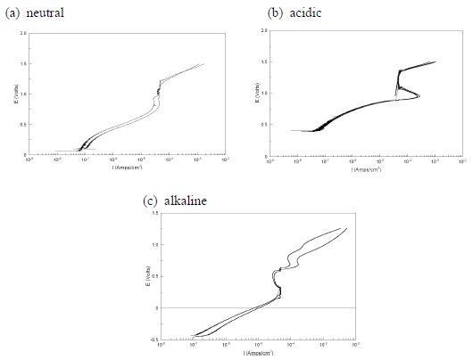Stainless steel의 양극 분극 곡선(anodic polarization)