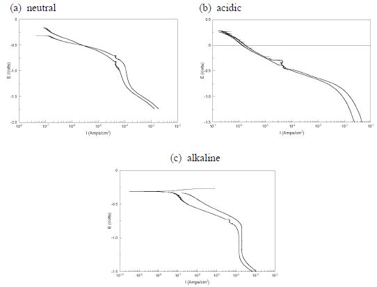 Stainless steel의 음극 분극 곡선(cathodic polarization)