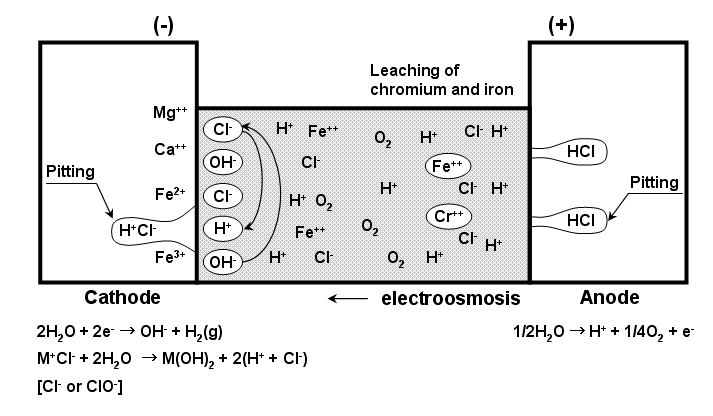 음극(cathode)에서의 pitting 현상 mechanism