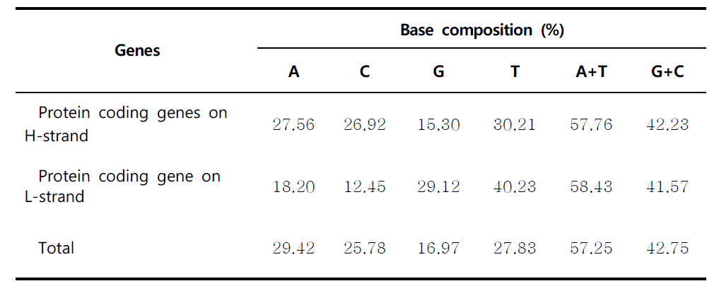 부안종개 전체 미토콘드리아 유전체의 H-strand와 L-strand에서 암호화된 단백질 유전자의 뉴클레오티드 구성비