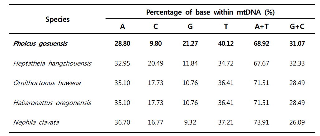 고수유령거미와 거미목(Araneae) 종들의 전체 미토콘드리아의 염기 구성 비율 비교