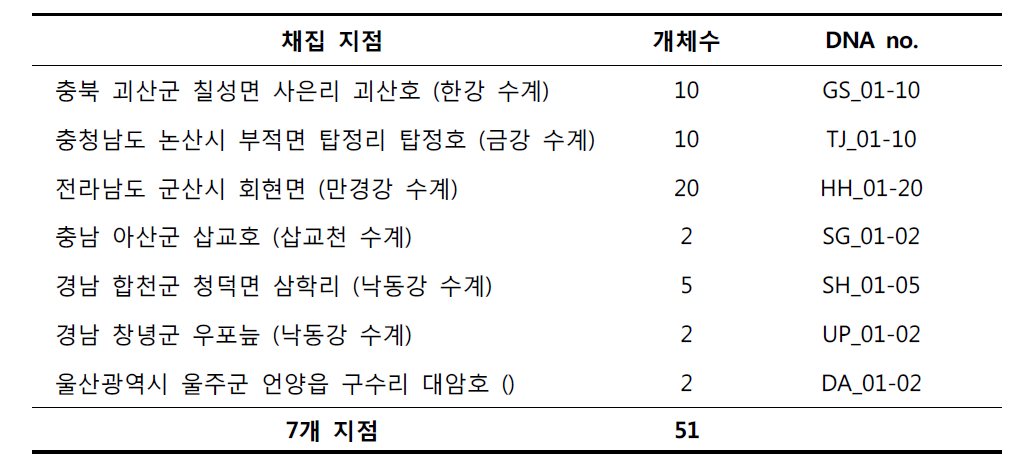 귀이빨대칭이의 채집지역 및 개체수