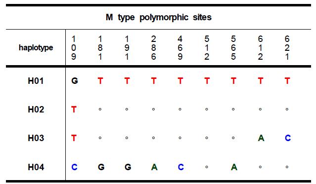 M type 귀이빨대칭이 미토콘드리아 COI 유전자의 염기서열에서 추출한 haplotype의 polymorphic sites