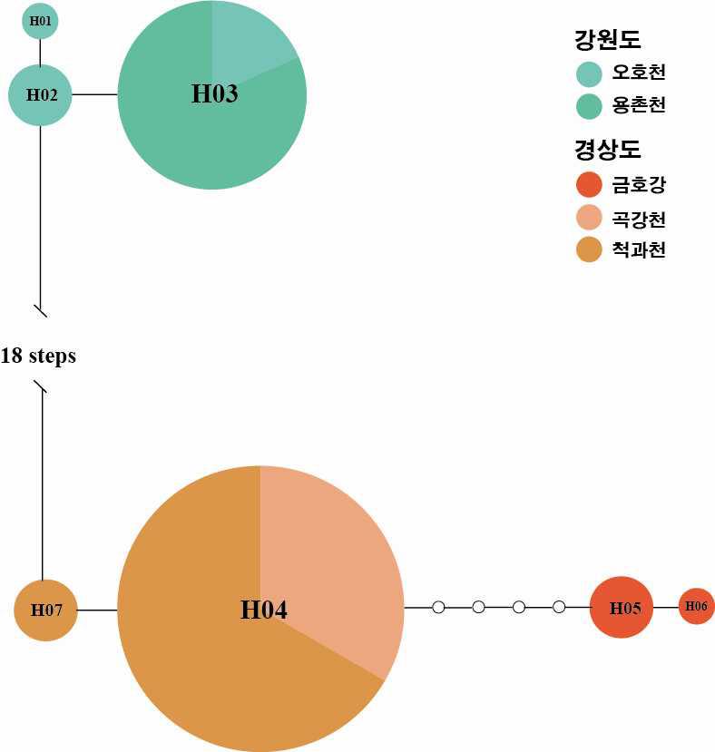 잔가시고기 집단에서 추출한 control region의 haplotype을 이용한 statistical parsimonious network