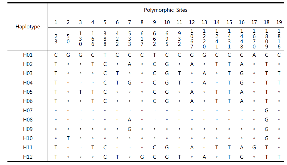 한강납줄개 미토콘드리아 3개 유전자의 유합 서열에서 추출한 haplotype의 polymorphic sites