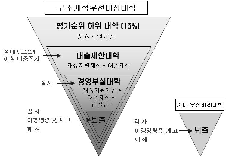 대학 구조개혁의 개념도