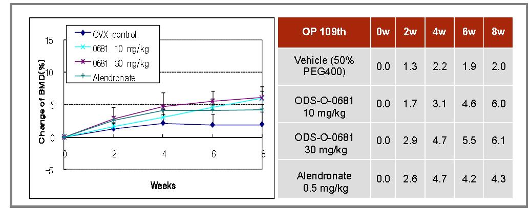 난소절제 흰쥐에서 ODS-O-681에 의한 골밀도의 증가 (내부시험)