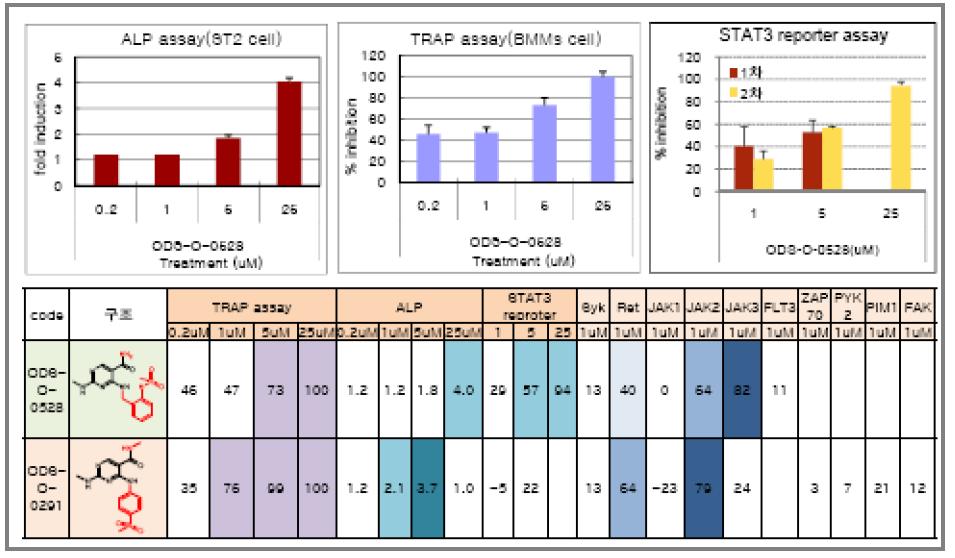 후보물질에 의한 kinase 신호전달계의 억제