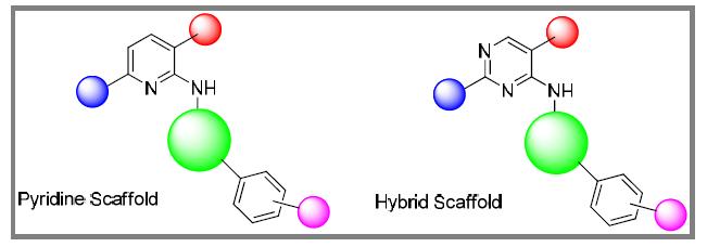 후보물질의 core scaffold