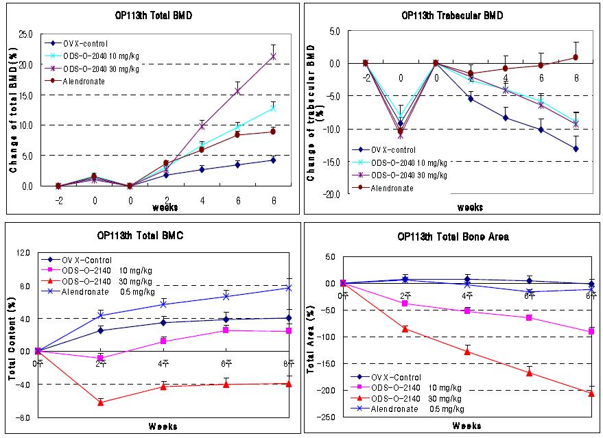 ODS-O-2040 투여후 경골에서 골밀도 변화