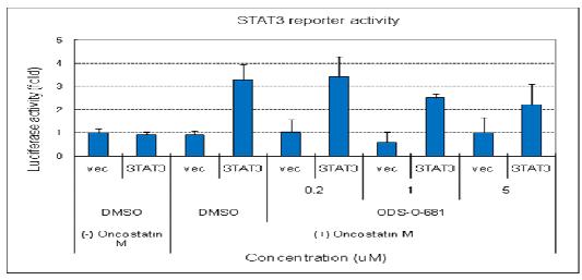 ODS-O-681에 의한 STAT3 전사활성의 감소