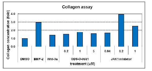 상업적인 JAK 억제제에 collagen 생성 증가