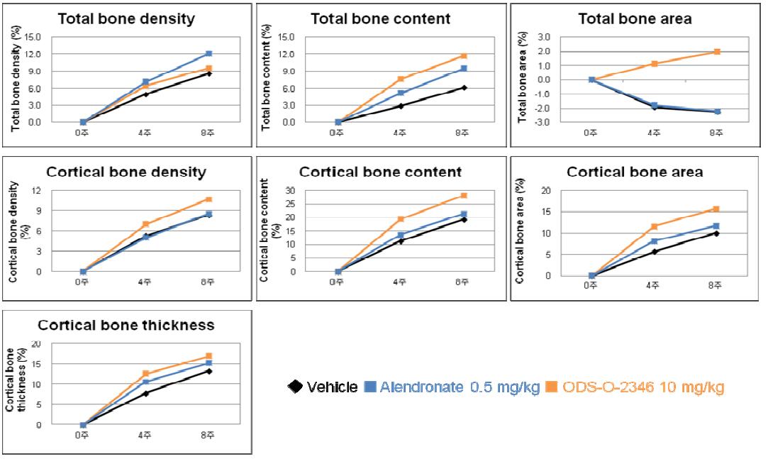 ODS-O-2346 투여에 의한 in vivo 골 형성 효과 (treatment model)