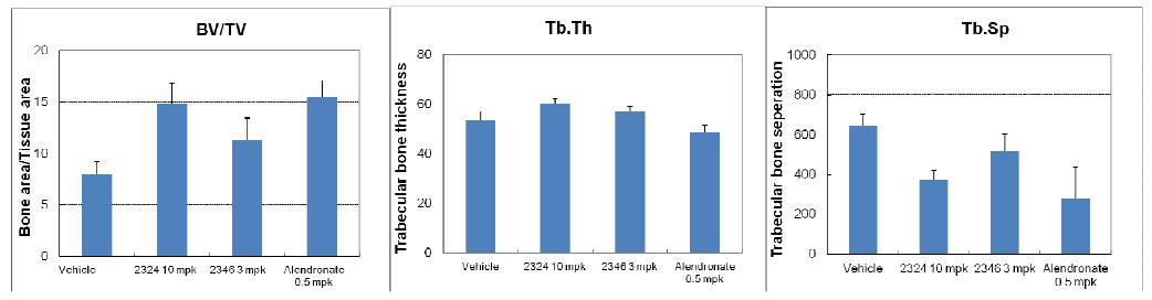ODS-O-2324 투여에 의한 in vivo 골 형성 효과 (prevention model)