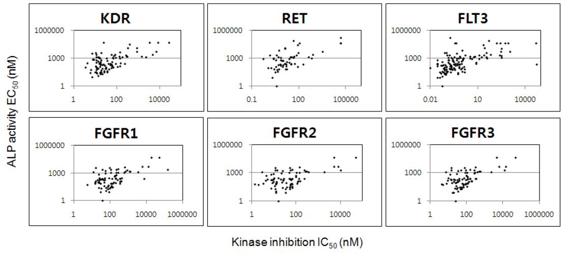 ALP 증진 활성과 kinase 억제 활성과의 상관관계를 나타내는 scatter plot