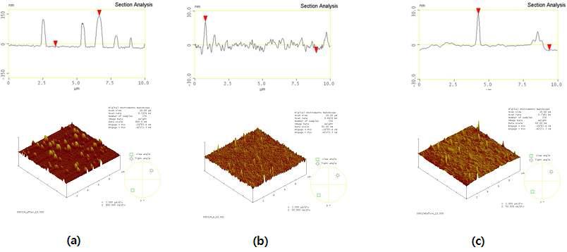 플라즈마 처리된 PI Film의 AFM 분석 결과