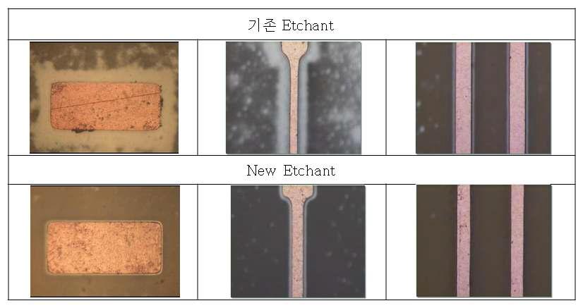 Seed 잔존률 비교