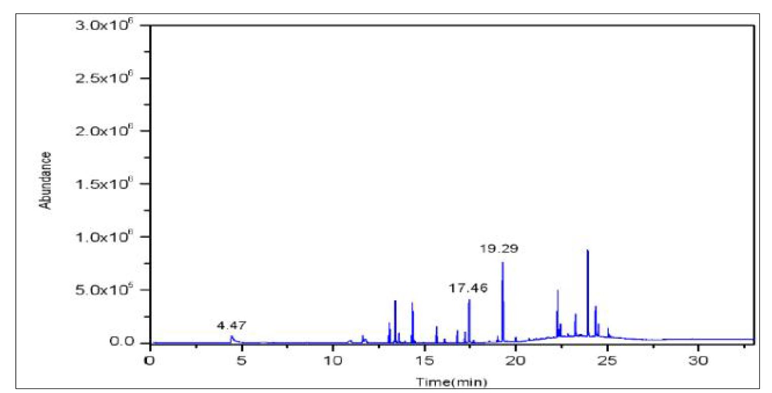 그림 74 210 ℃에서 열탈리한 시험 후 시료의 TIC(Total Ion Chromatogram)