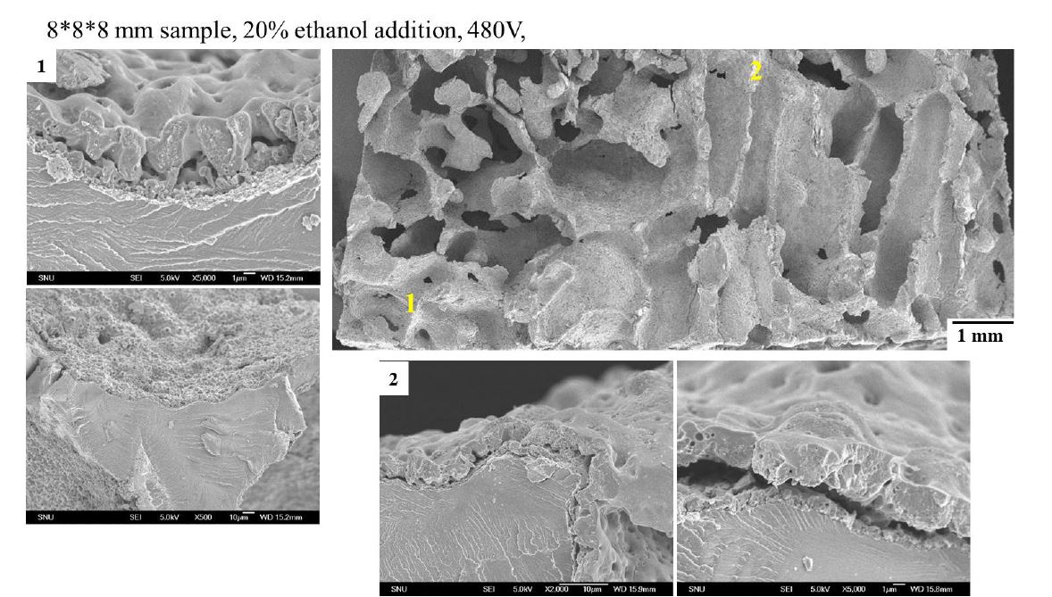 그림 33 Ethanol이 첨가된 전해액을 이용하여 표면처리를 한 시편의 SEM 이미지