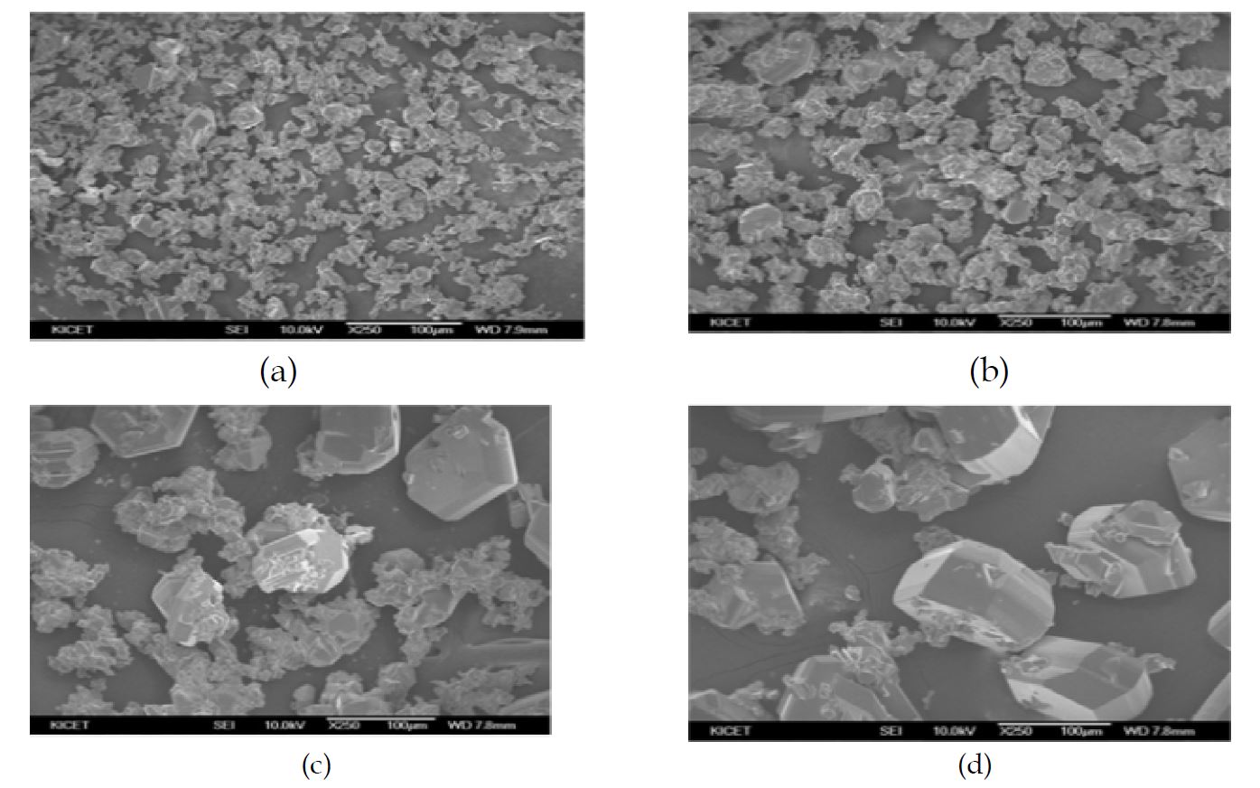 Fig.12 SEM images of the β-SiC powders after thermocycle from 1800oC ~2030oC