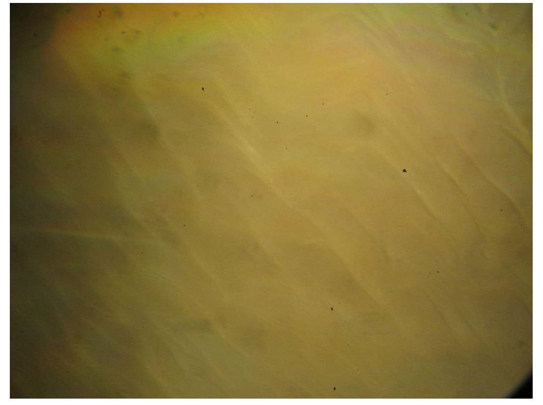 Fig. 8 Optical image of the surface morphology of the 6H-SiC crystal.(C-face).(3,5x3,5mm2).