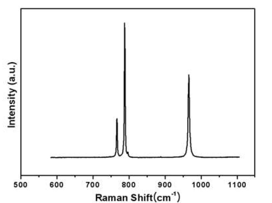 그림2. Raman peak of the 6H SiC single crystal wafer