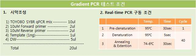 Gradient PCR 시약 조성 및 구동 조건
