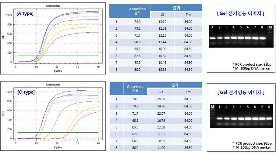 FMDV A와 O 타입의 온도 gradient PCR 결과