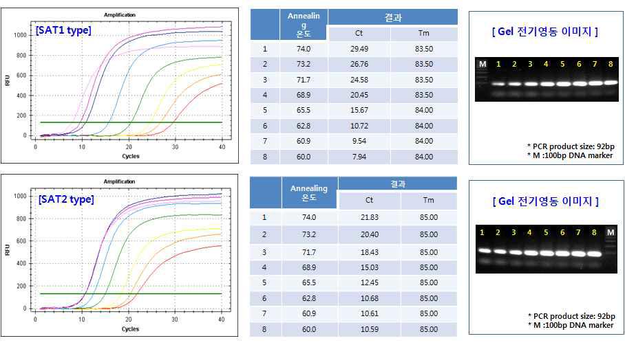FMDV SAT 1과 SAT 2 타입의 온도 gradient PCR 결과