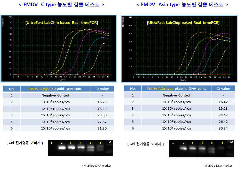 자사 장비에서의 C, Asia 타입의 농도별 검출 테스트 결과