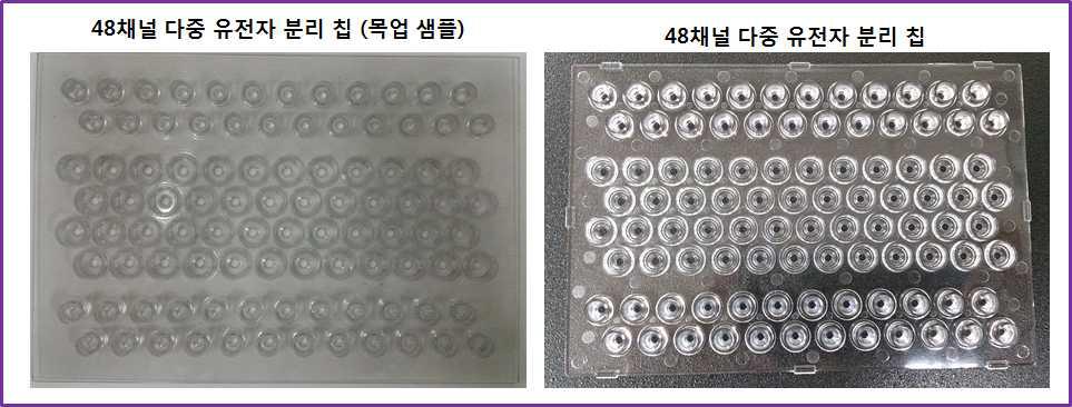 48채널 다중 유전자 분리 칩 사진