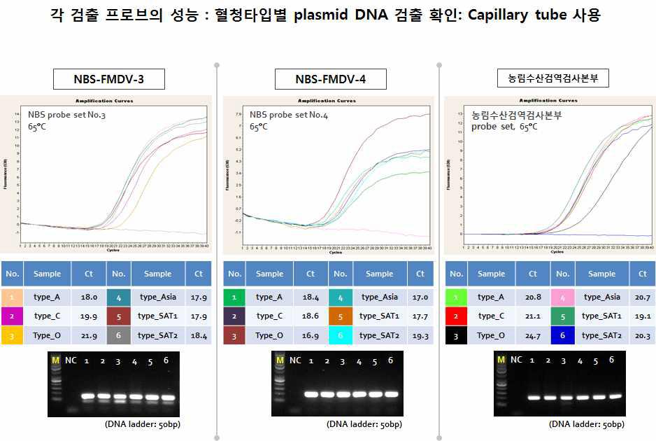 Capillary tube와 구제역 혈청 타입별 DNA를 사용하여 One-step RT & rt PCR 결과