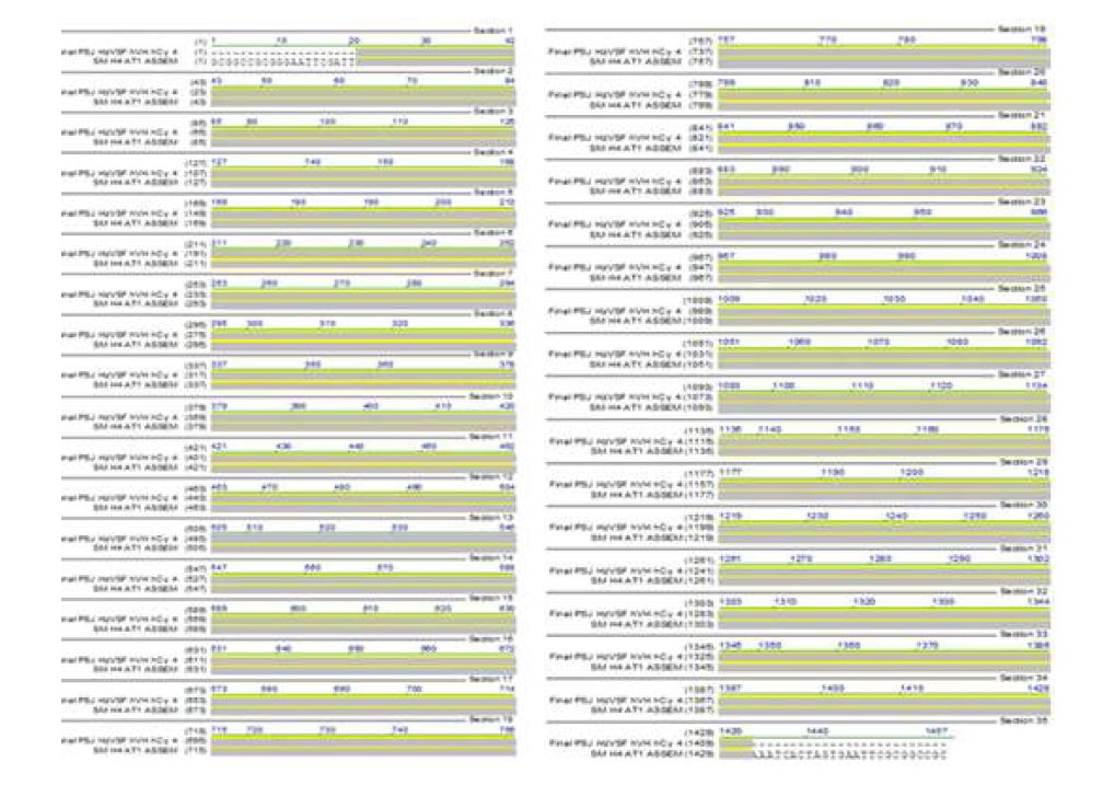 그림 54 hVH.hCγ4의 Sequencing 결과와 design된 HzVSF hVH.hCγ4의 alignment 결과