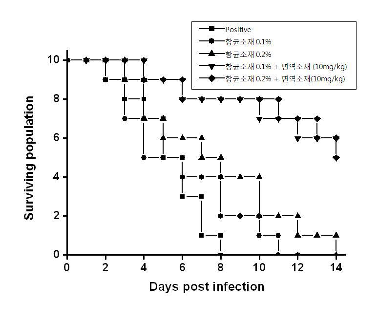 살모넬라 감염 동물모델에서 항균소재 및 면역증강소재의 세균의 감염에 대한 사망율 개선효과