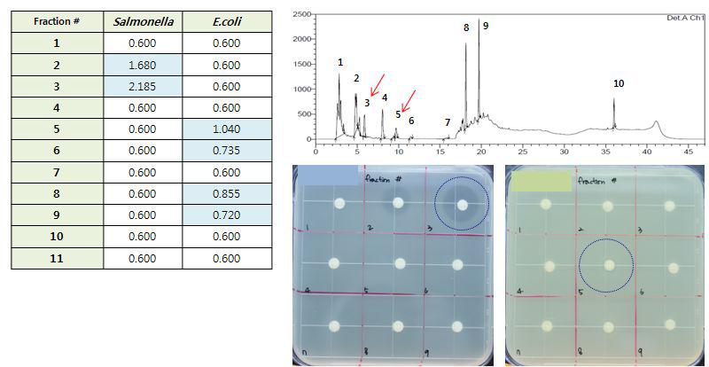 항균펩타이드 HPLC분석 및 항균활성 측정