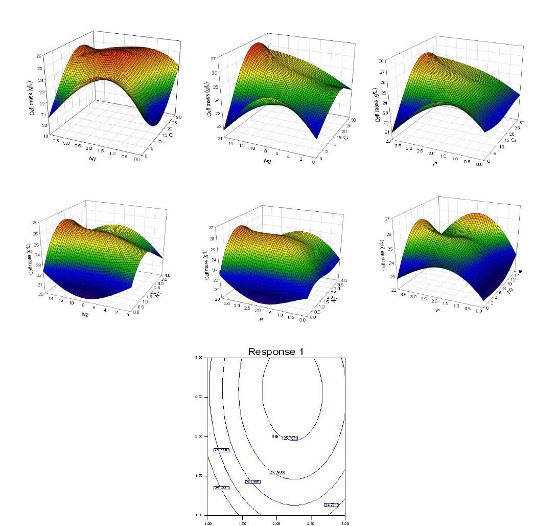 항균펩타이드 생산 최적화에 대한 3D표면분석 결과 그림